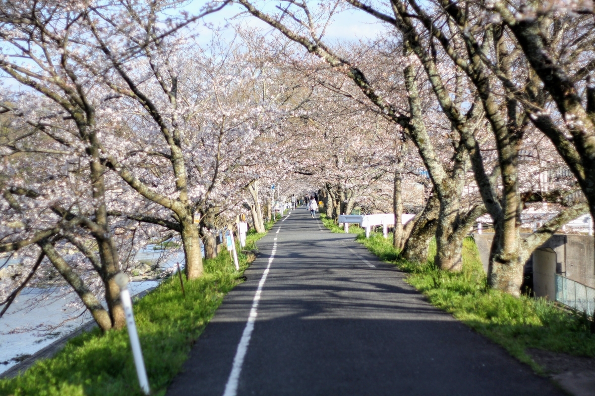 f:id:kibi6:20200615231620j:plain