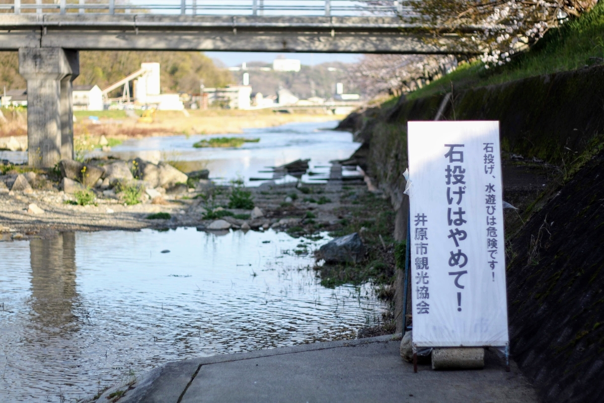 f:id:kibi6:20200615231938j:plain