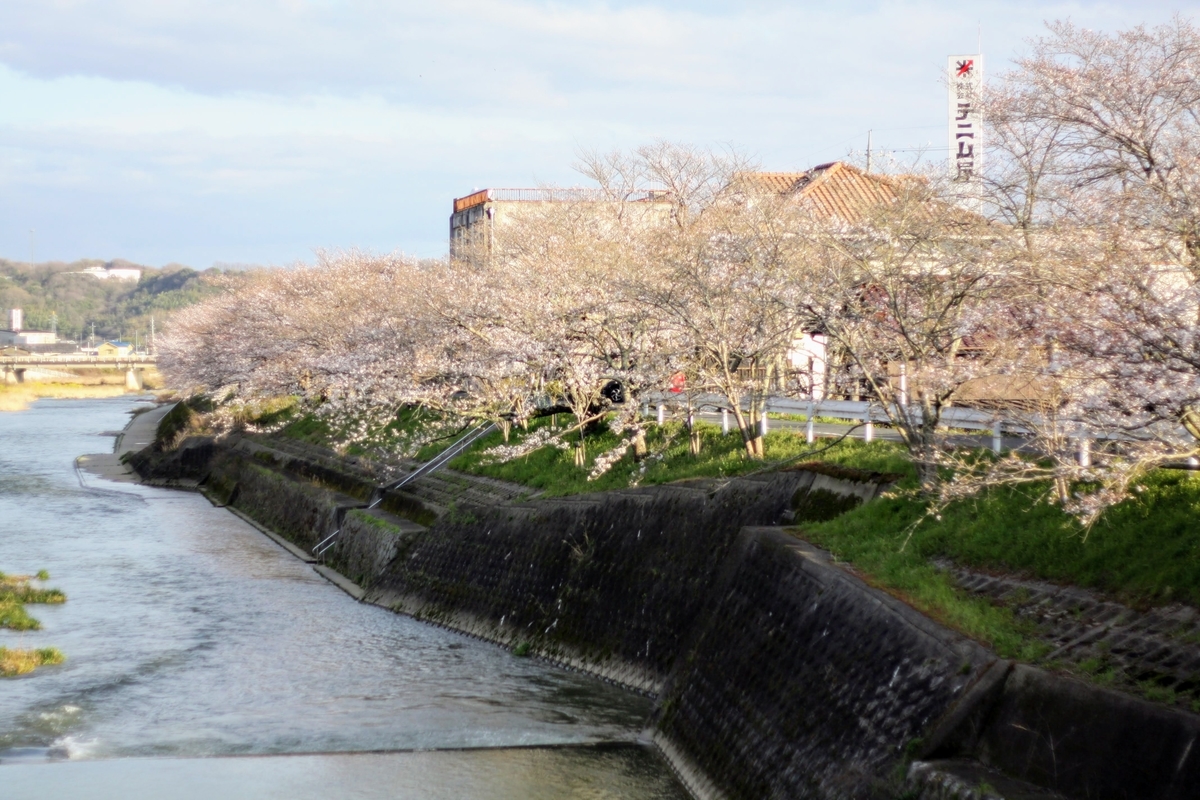 f:id:kibi6:20200615232208j:plain