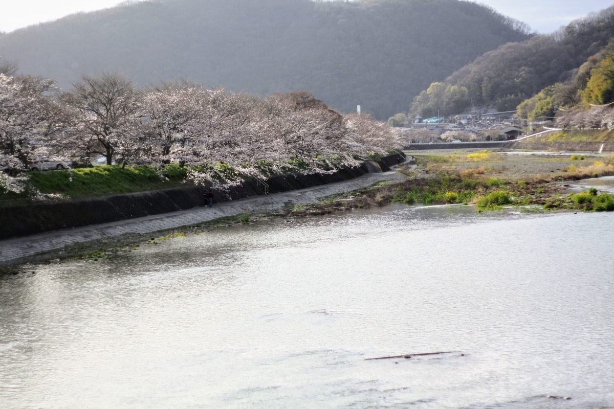 f:id:kibi6:20200615232255j:plain