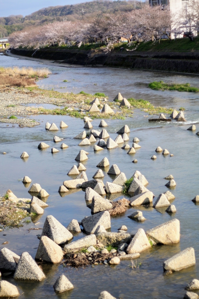 f:id:kibi6:20200615232338j:plain