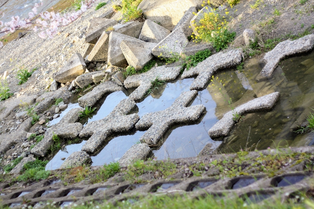 f:id:kibi6:20200615232428j:plain