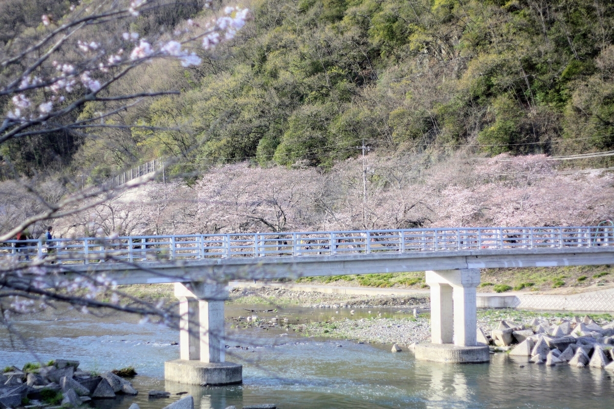 f:id:kibi6:20200615232555j:plain