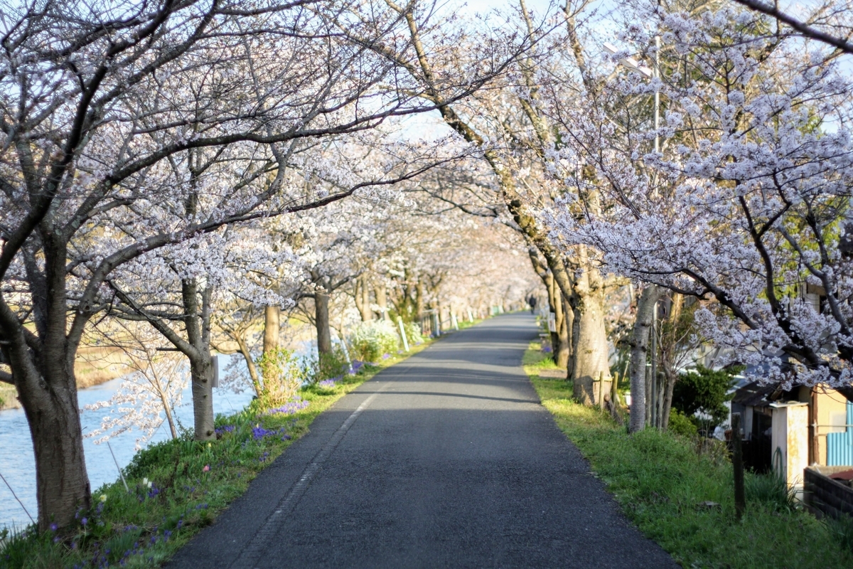 f:id:kibi6:20200615232719j:plain