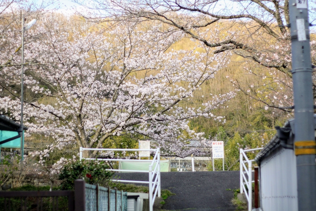 f:id:kibi6:20200615233104j:plain