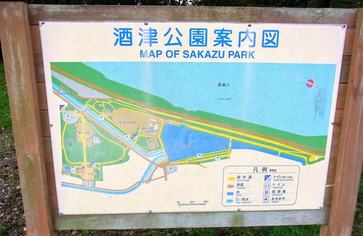 f:id:kibi6:20200619012311j:plain