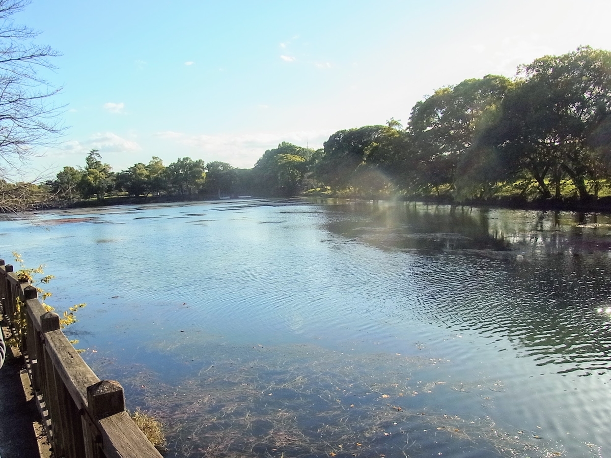 f:id:kibi6:20200619012336j:plain