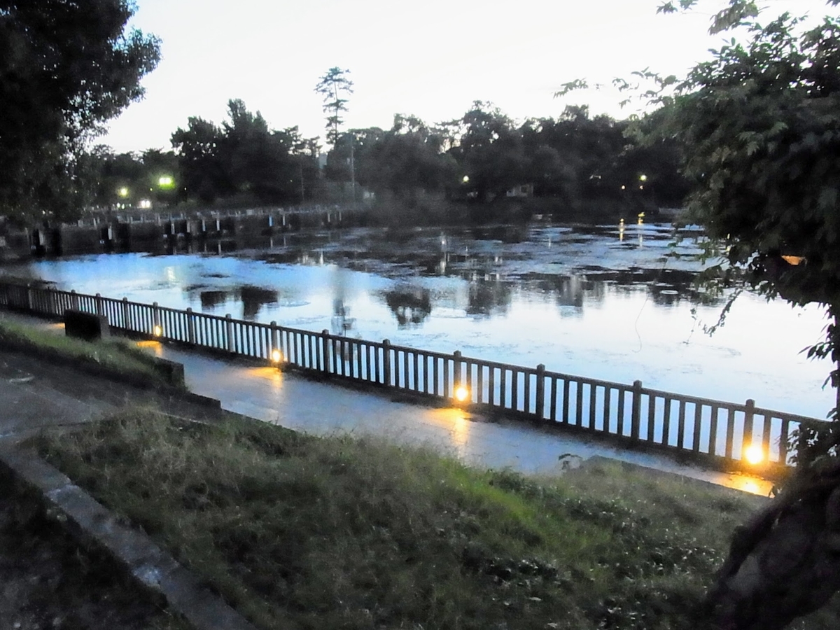 f:id:kibi6:20200619012445j:plain