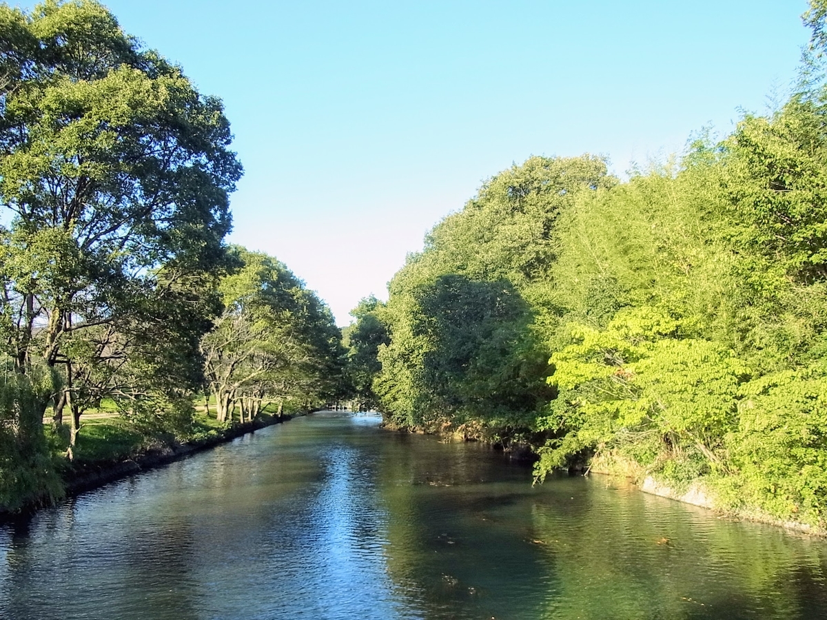 f:id:kibi6:20200619012509j:plain