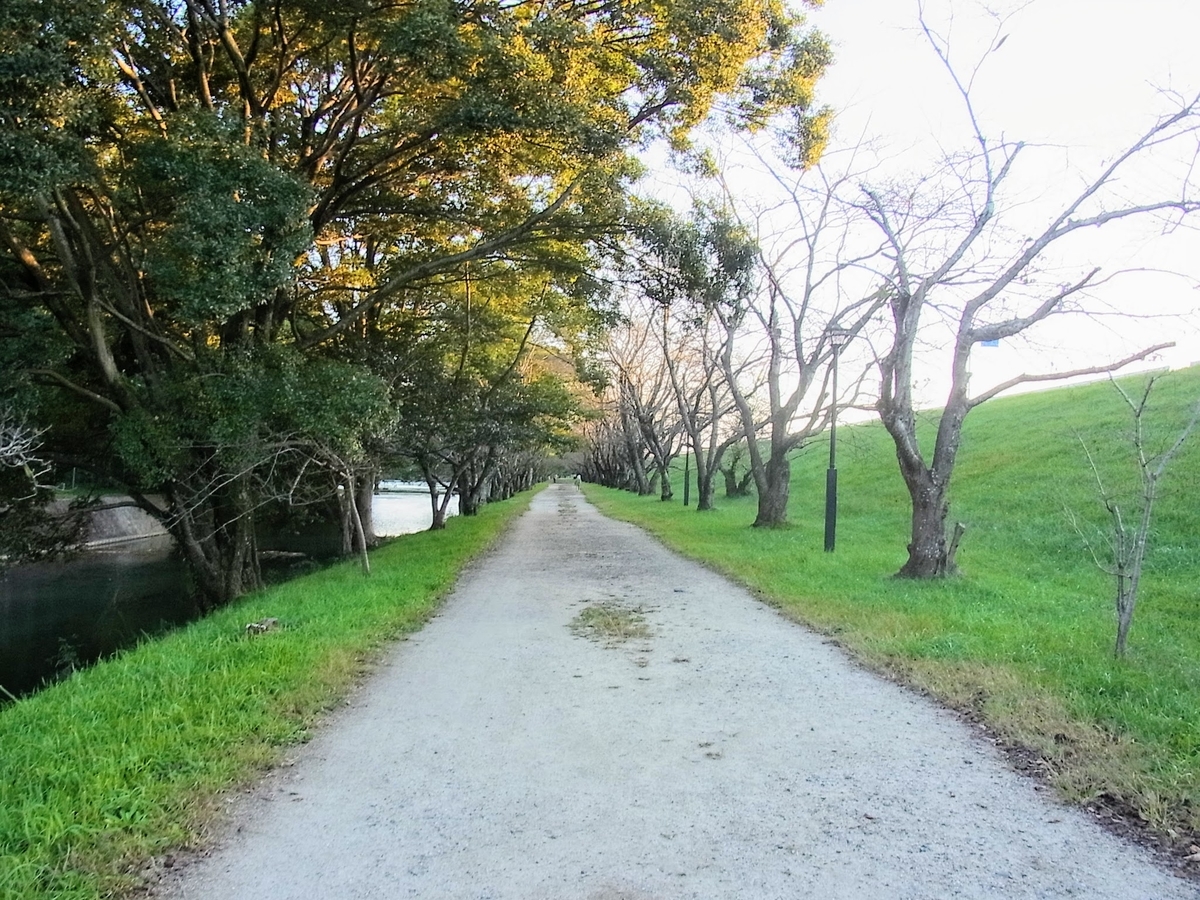 f:id:kibi6:20200619012533j:plain