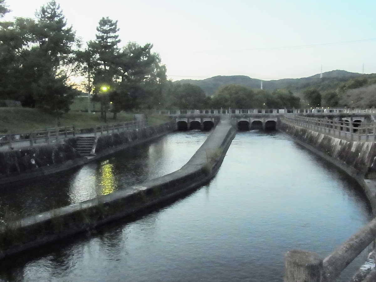 f:id:kibi6:20200619012714j:plain