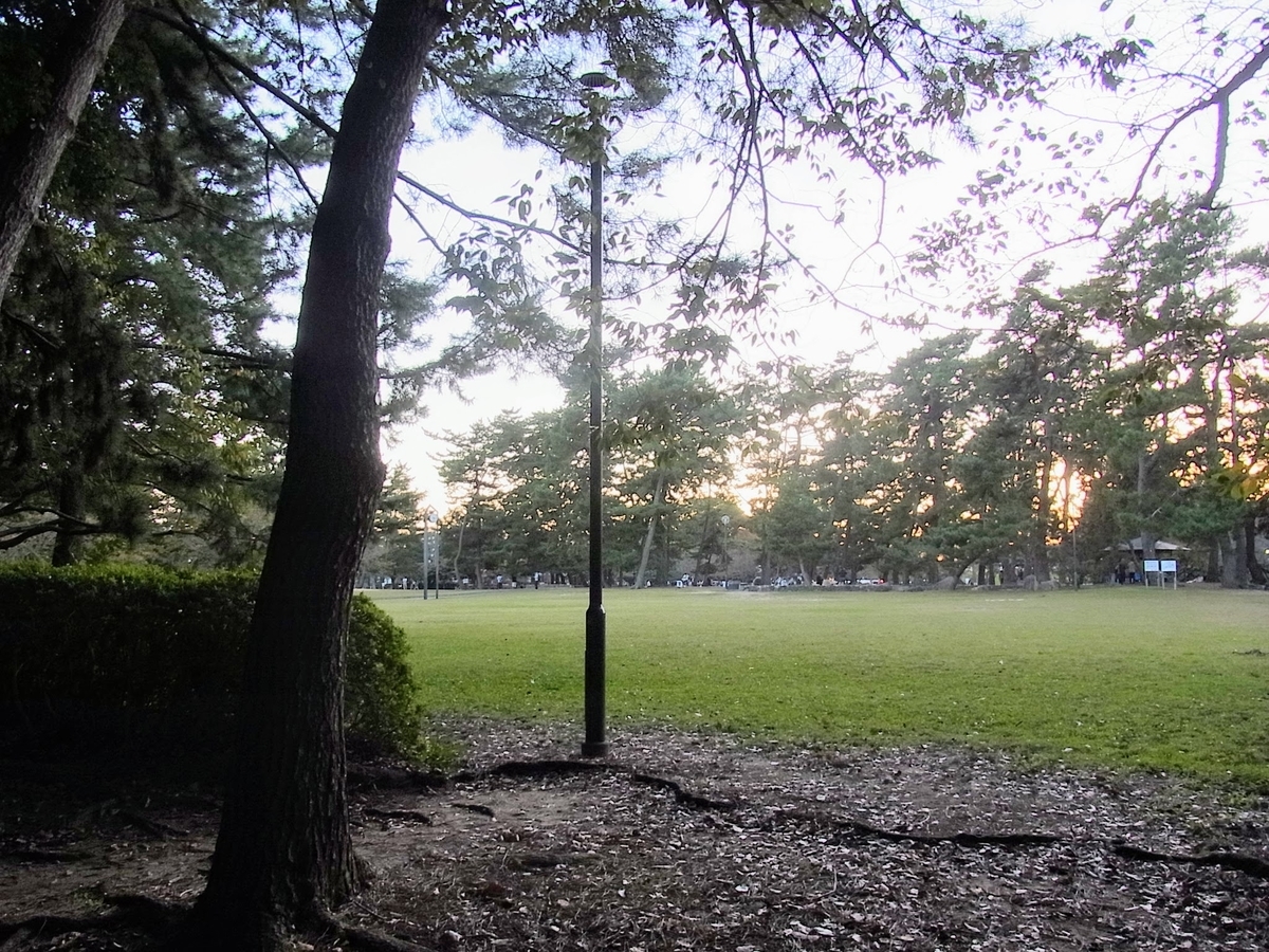 f:id:kibi6:20200619012809j:plain