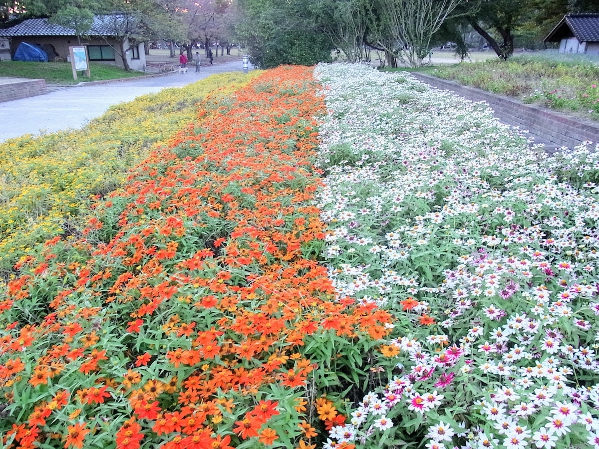 f:id:kibi6:20200619012834j:plain