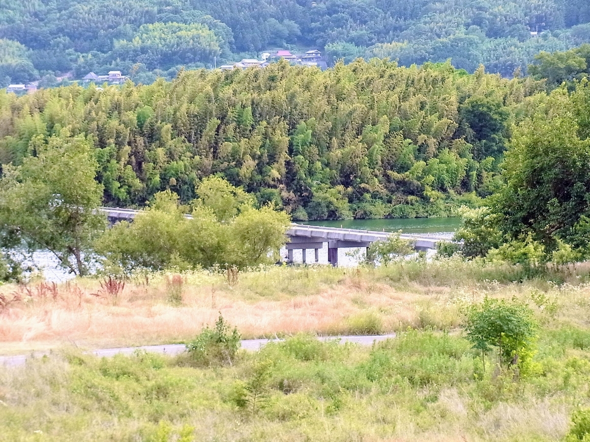 f:id:kibi6:20200619235501j:plain