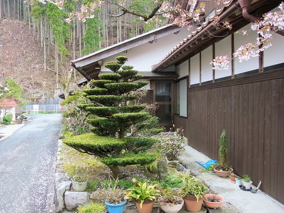 f:id:kibi6:20200620033914j:plain