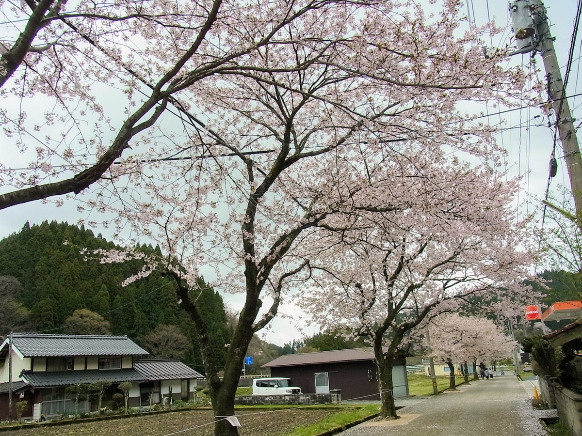 f:id:kibi6:20200620034039j:plain