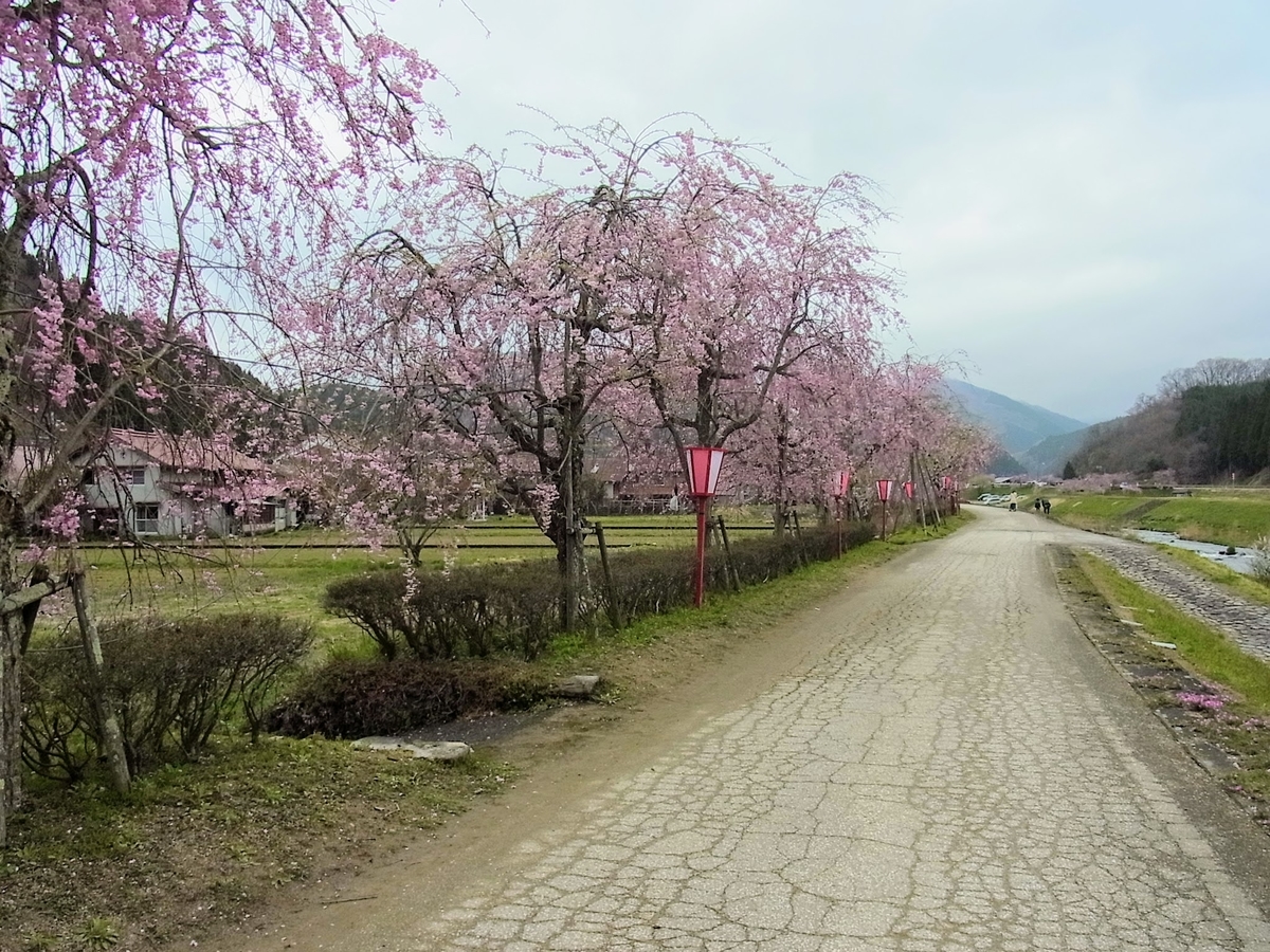 f:id:kibi6:20200620034906j:plain