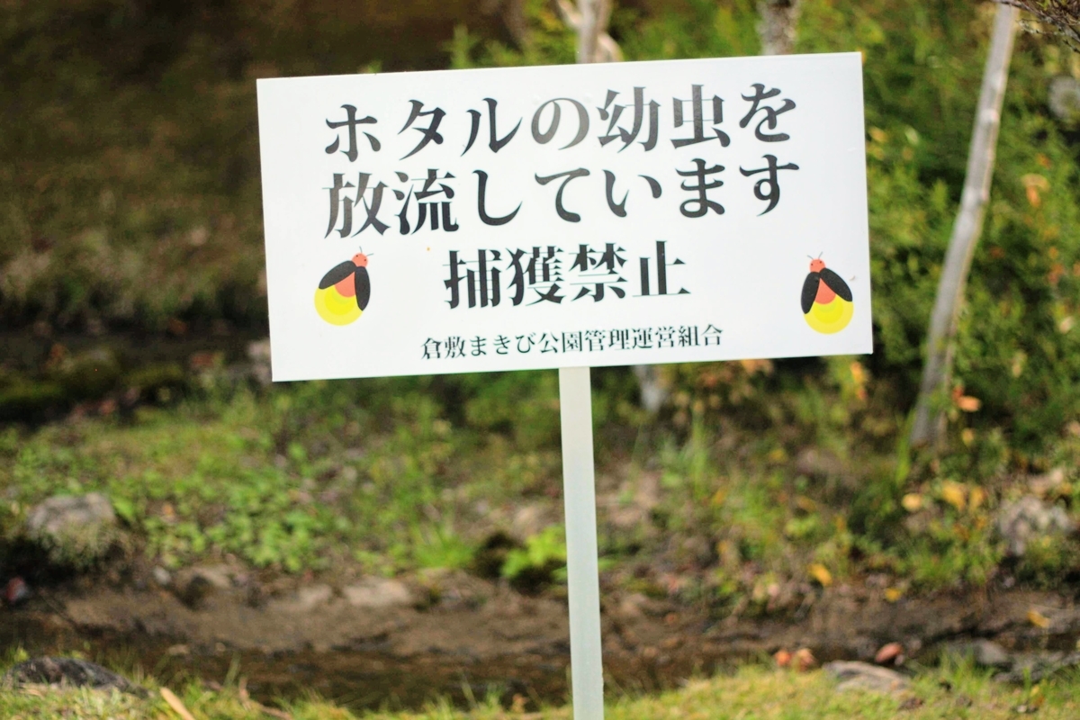 f:id:kibi6:20200620183319j:plain