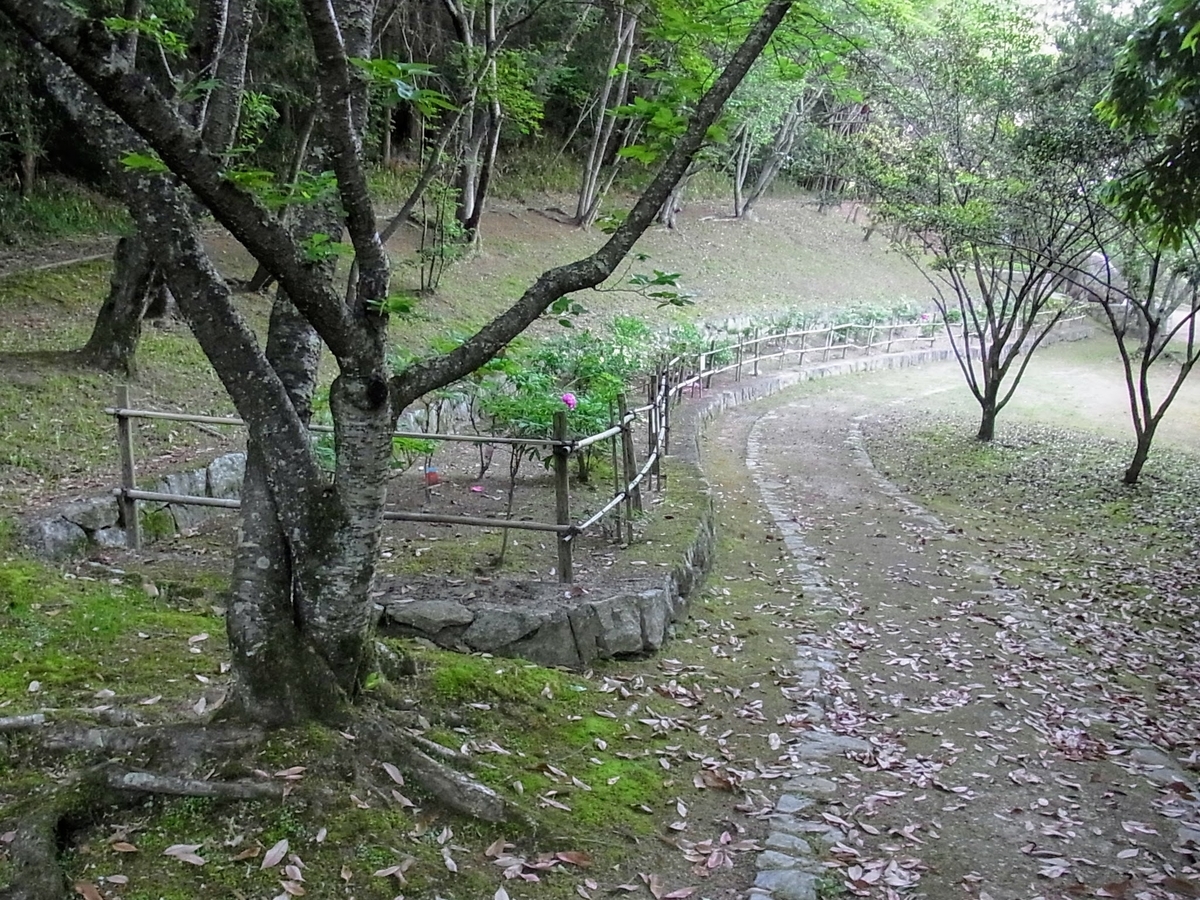 f:id:kibi6:20200620191220j:plain