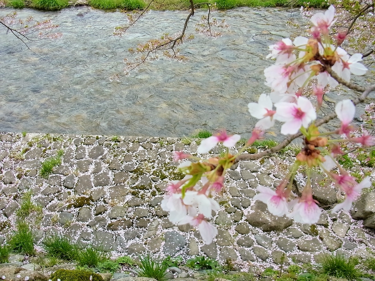 f:id:kibi6:20200620232021j:plain