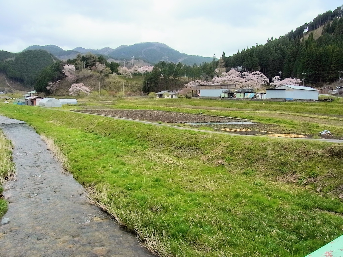 f:id:kibi6:20200620232147j:plain