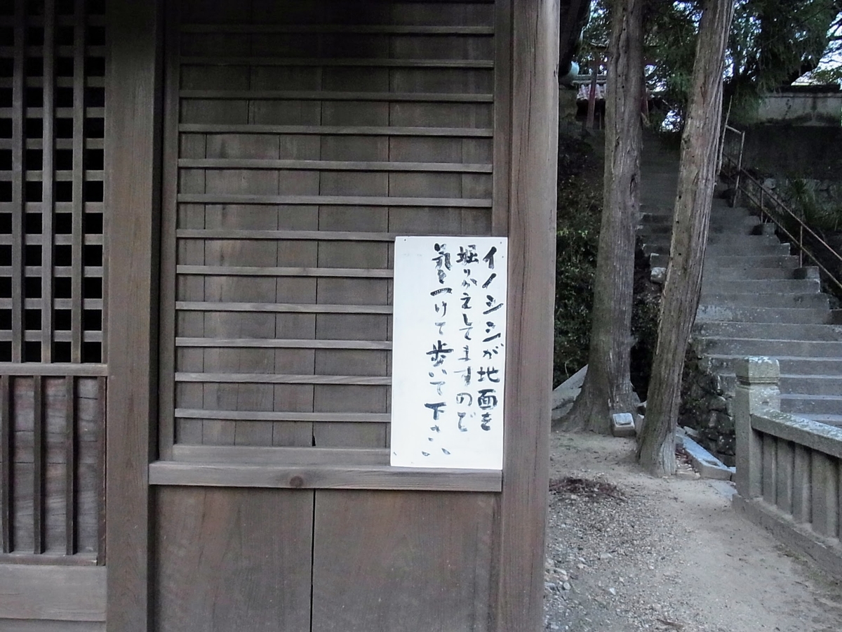 f:id:kibi6:20200621221021j:plain