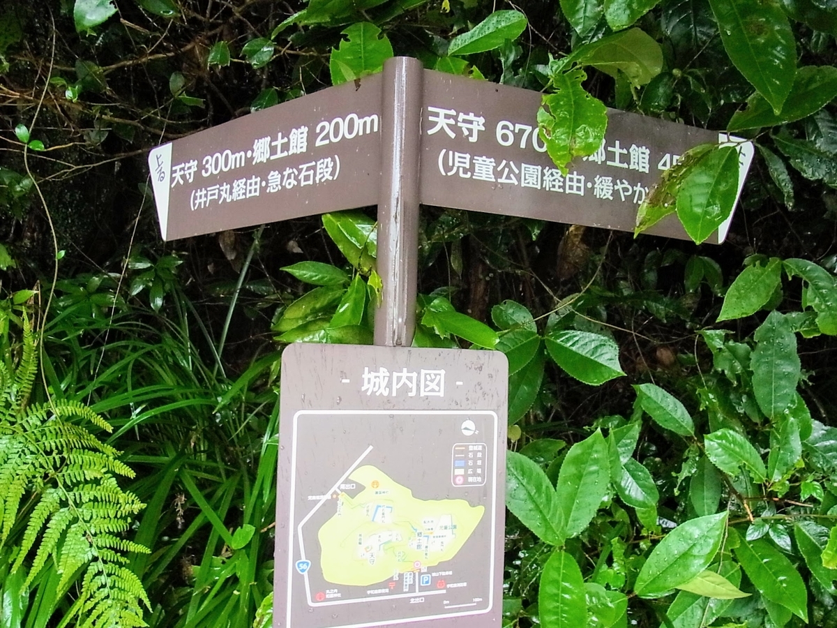 f:id:kibi6:20200623080841j:plain