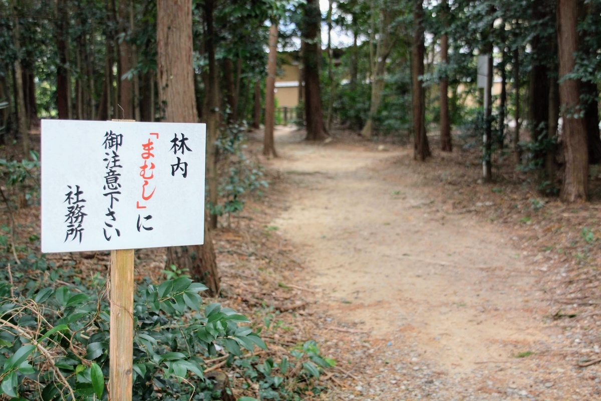 f:id:kibi6:20200624021730j:plain