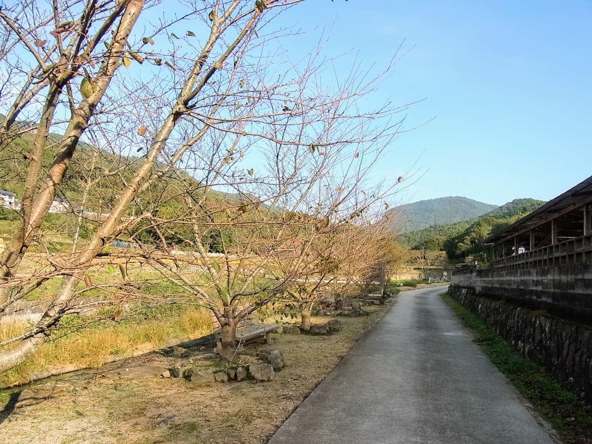 f:id:kibi6:20200624225419j:plain