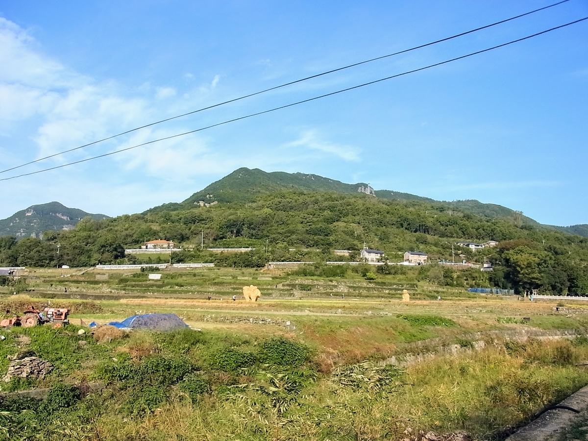 f:id:kibi6:20200624225806j:plain