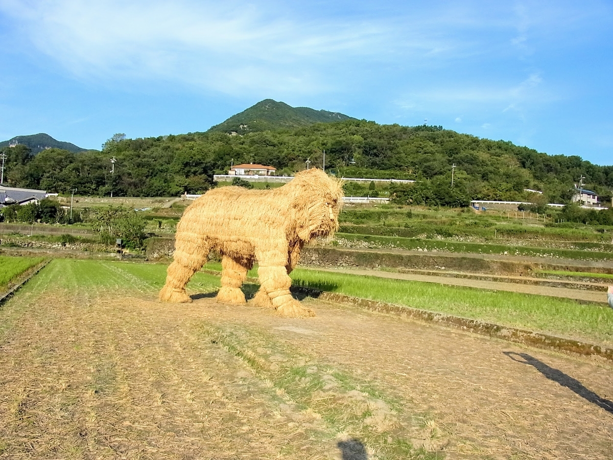 f:id:kibi6:20200624231035j:plain