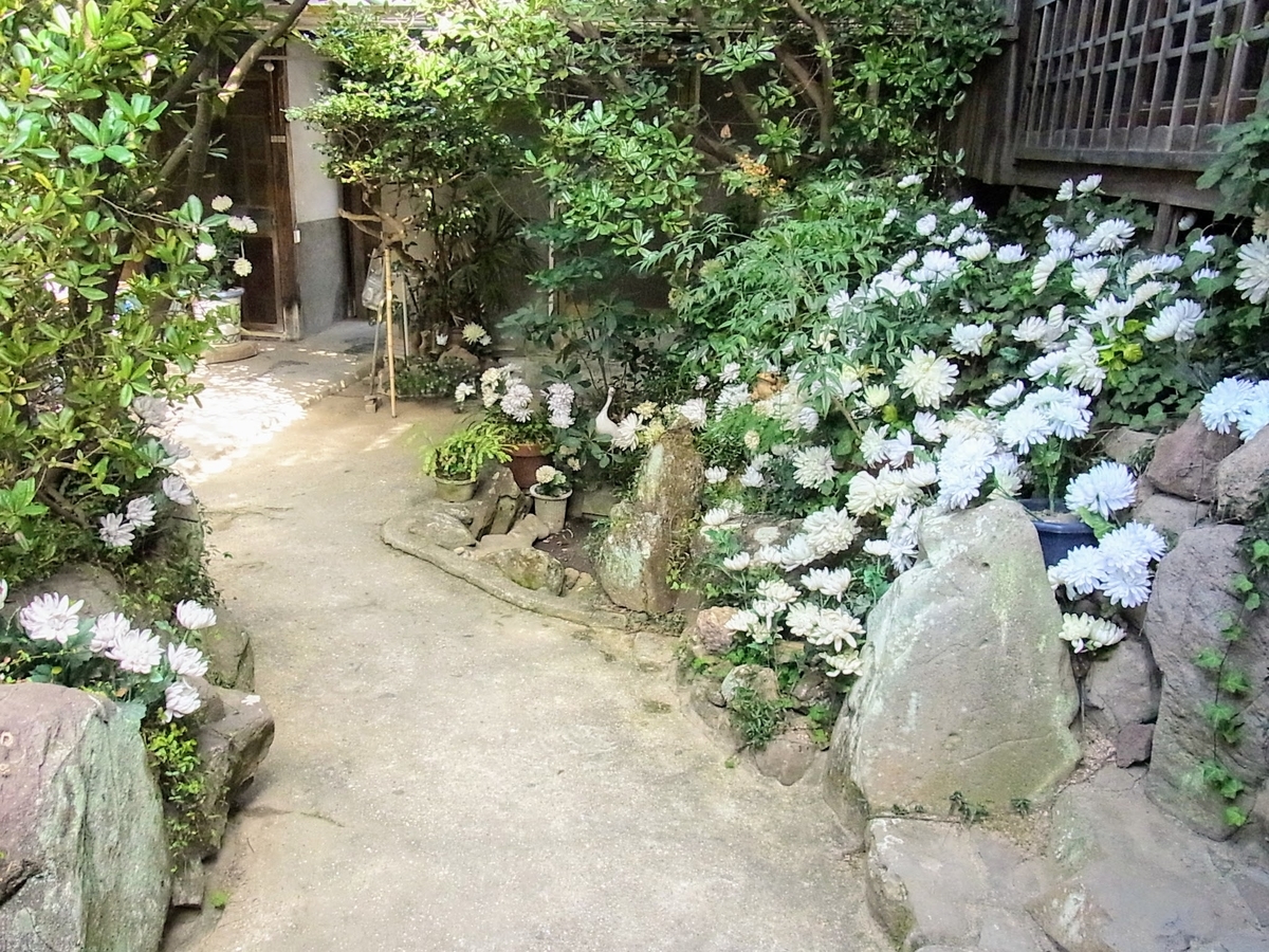 f:id:kibi6:20200625071206j:plain