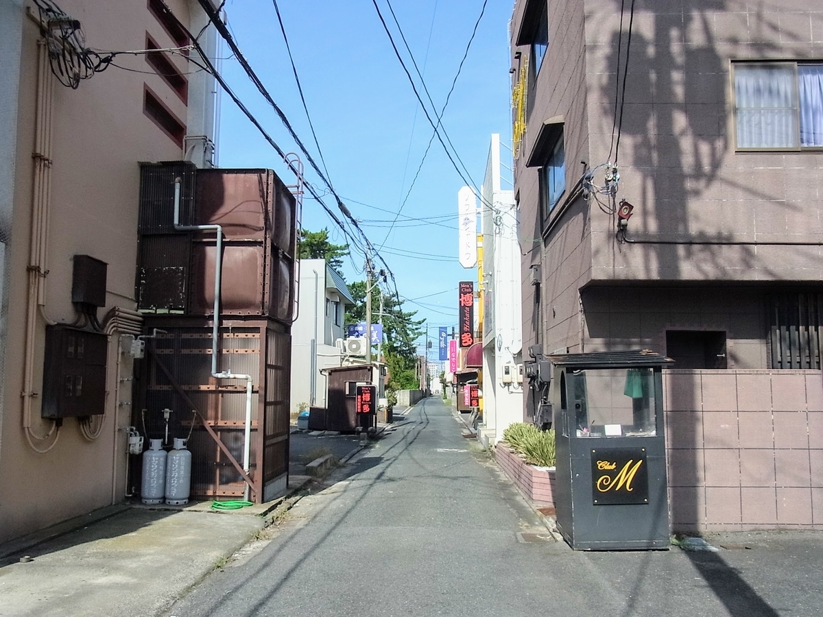 f:id:kibi6:20200627035350j:plain