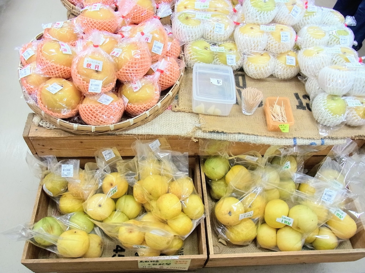 f:id:kibi6:20200701204903j:plain f:id:kibi6:20200701204903j:plain