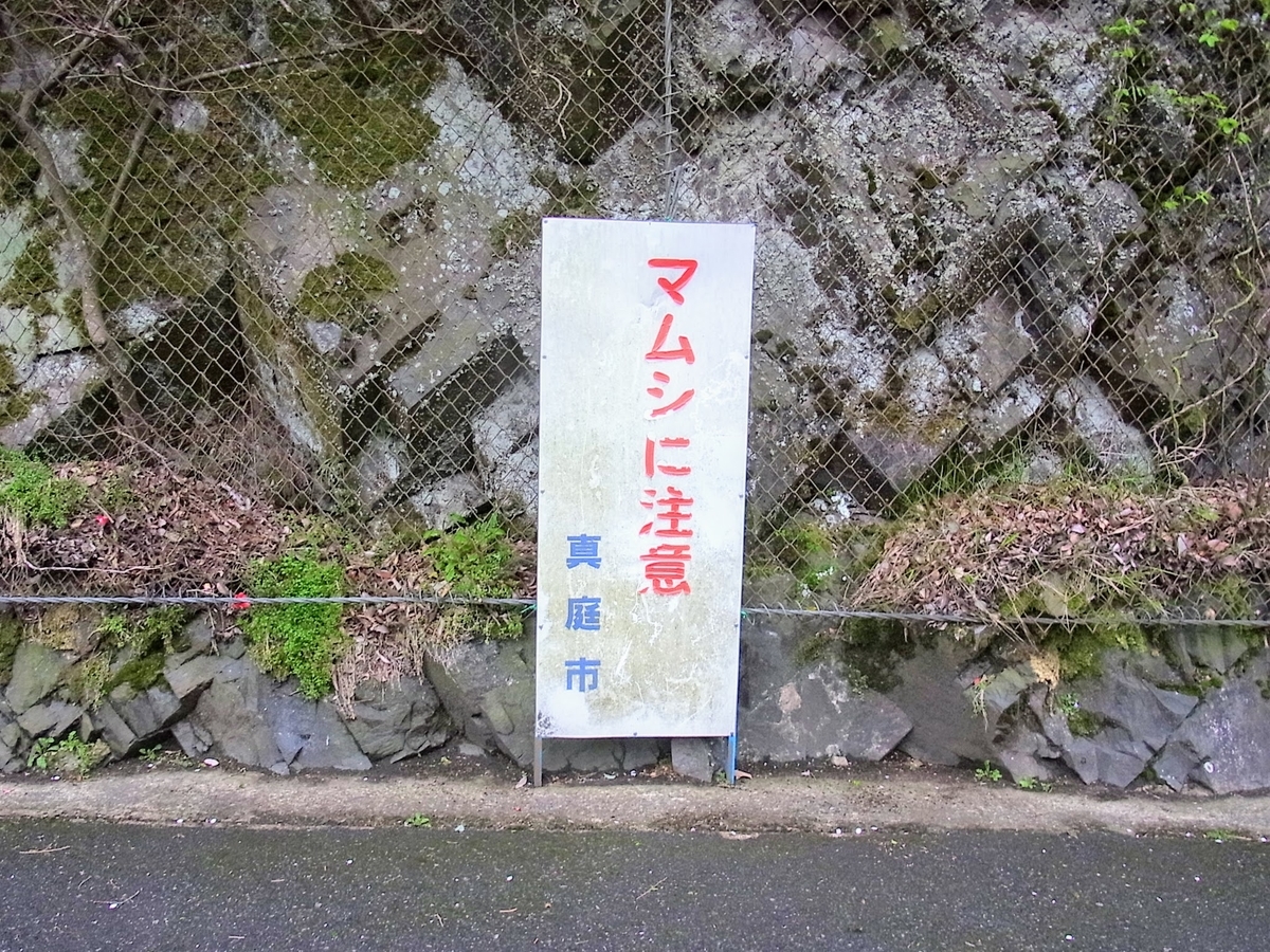 f:id:kibi6:20200702101331j:plain