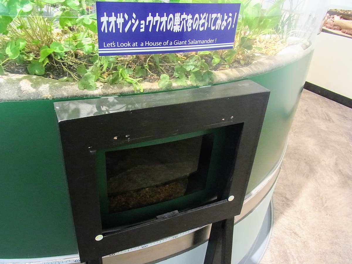 f:id:kibi6:20200702111901j:plain