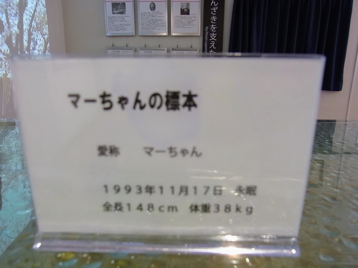 f:id:kibi6:20200702112223j:plain