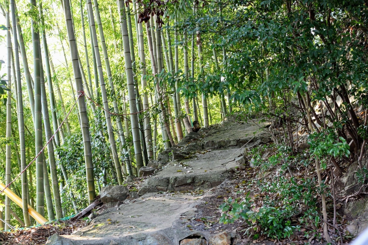 f:id:kibi6:20200702214758j:plain