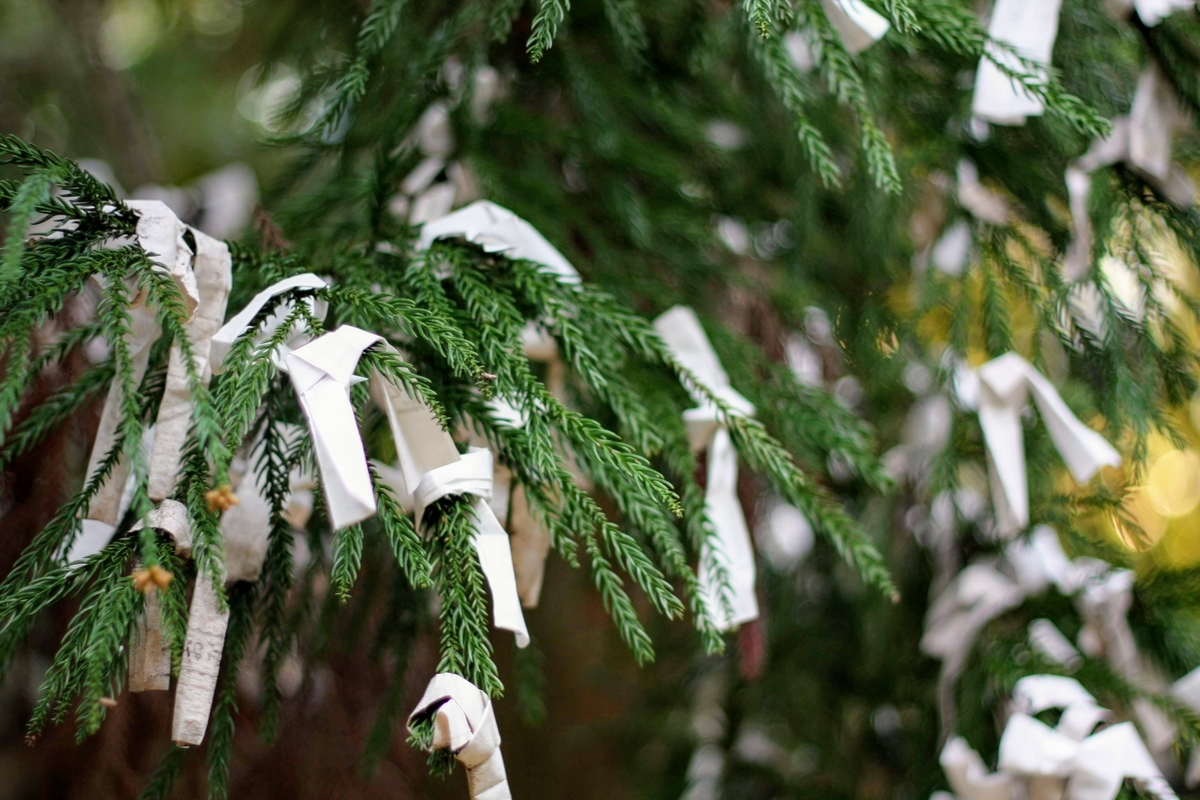 f:id:kibi6:20200702224106j:plain