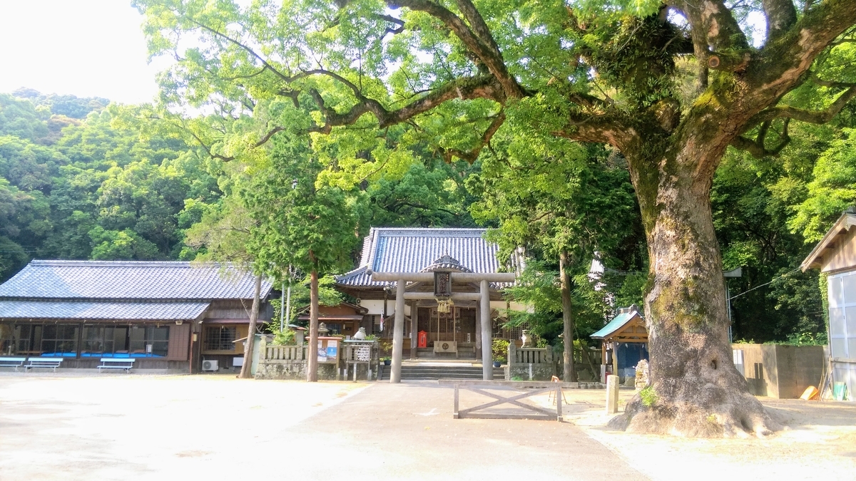 f:id:kibi6:20200703224642j:plain