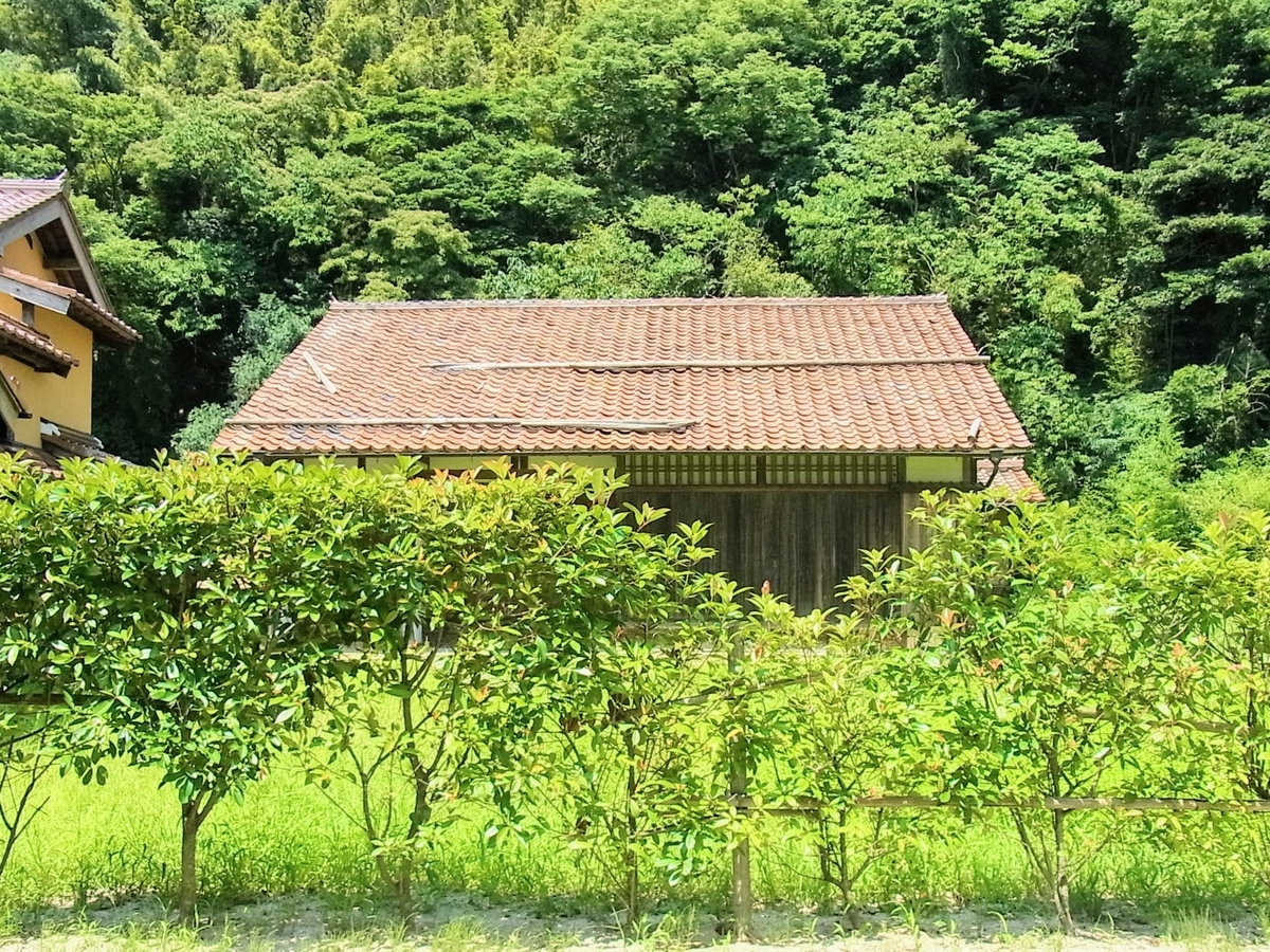f:id:kibi6:20200705135822j:plain