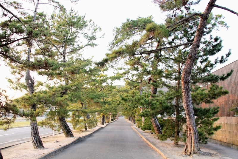 f:id:kibi6:20210303211712j:plain