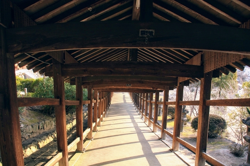 f:id:kibi6:20210303212653j:plain