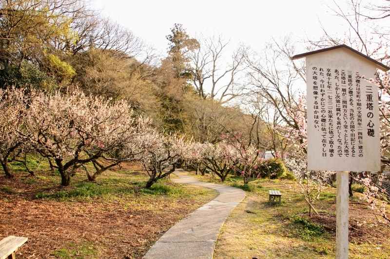 f:id:kibi6:20210303213148j:plain