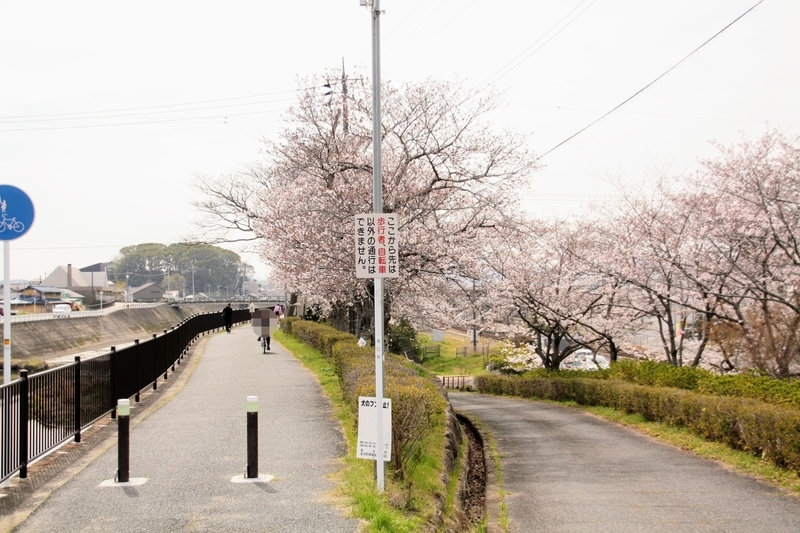 f:id:kibi6:20210401204548j:plain
