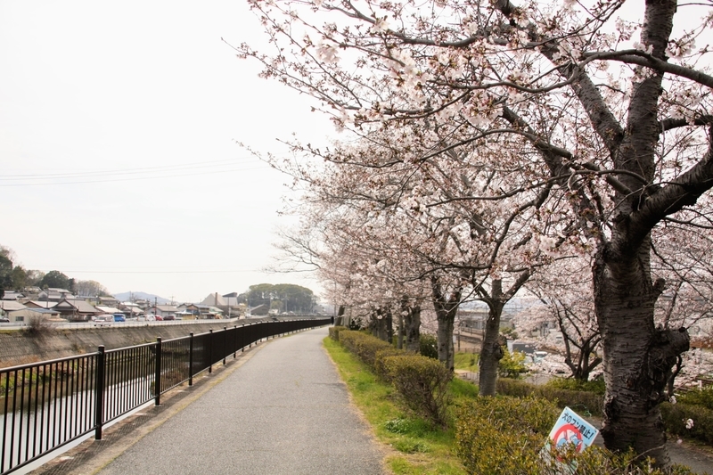 f:id:kibi6:20210401204617j:plain