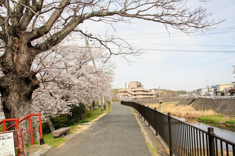 f:id:kibi6:20210401204747j:plain