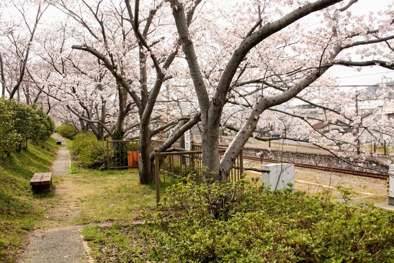 f:id:kibi6:20210401204758j:plain