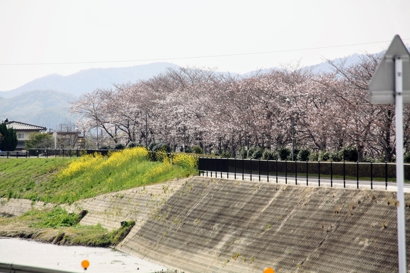 f:id:kibi6:20210401205018j:plain
