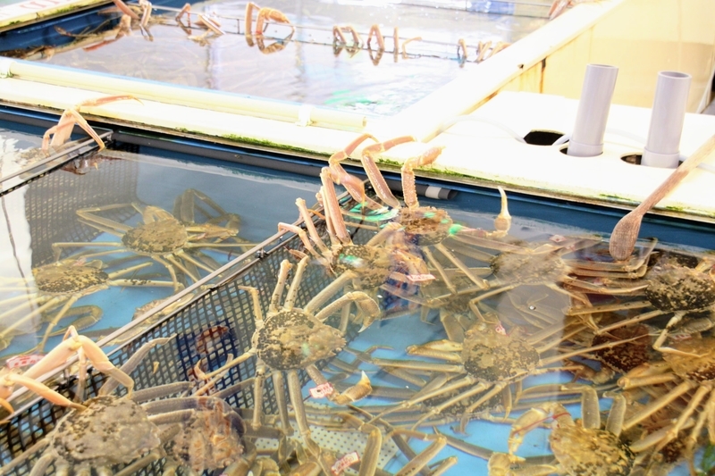 f:id:kibi6:20211128010850j:plain